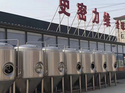 前郭精酿啤酒设备厂—如何判断精酿啤酒设备的密封件需要更换？